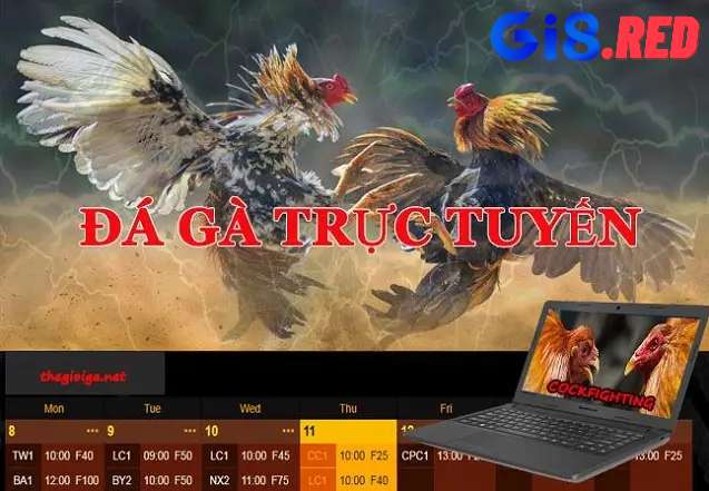 Giới Thiệu Về Đá Gà Trực Tiếp Tại GI8