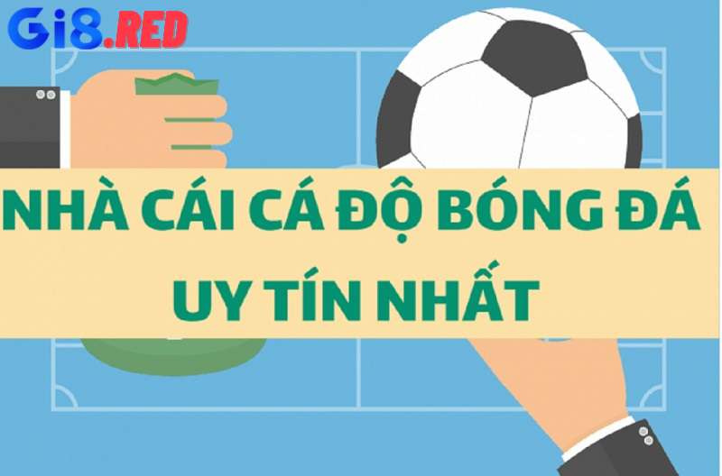 Bí kíp đọc tỷ lệ kèo cá cược nhà cái mang lại hiệu quả cược cao 